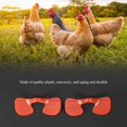 thumbnail image 2 of Jinsinto 1000 Pcs Chicken Goggles Glasses Peepers Pheasant Poultry Blinder Goggles Anti-Eye Peck Protector Farming Equipment Unique Structure Quality Plastic Tool, 2 of 5
