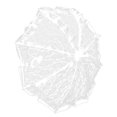 thumbnail image 5 of 1Pc Lace Umbrella Bridal Lace Parasol Photography Prop Stage Dancing Prop, 5 of 5