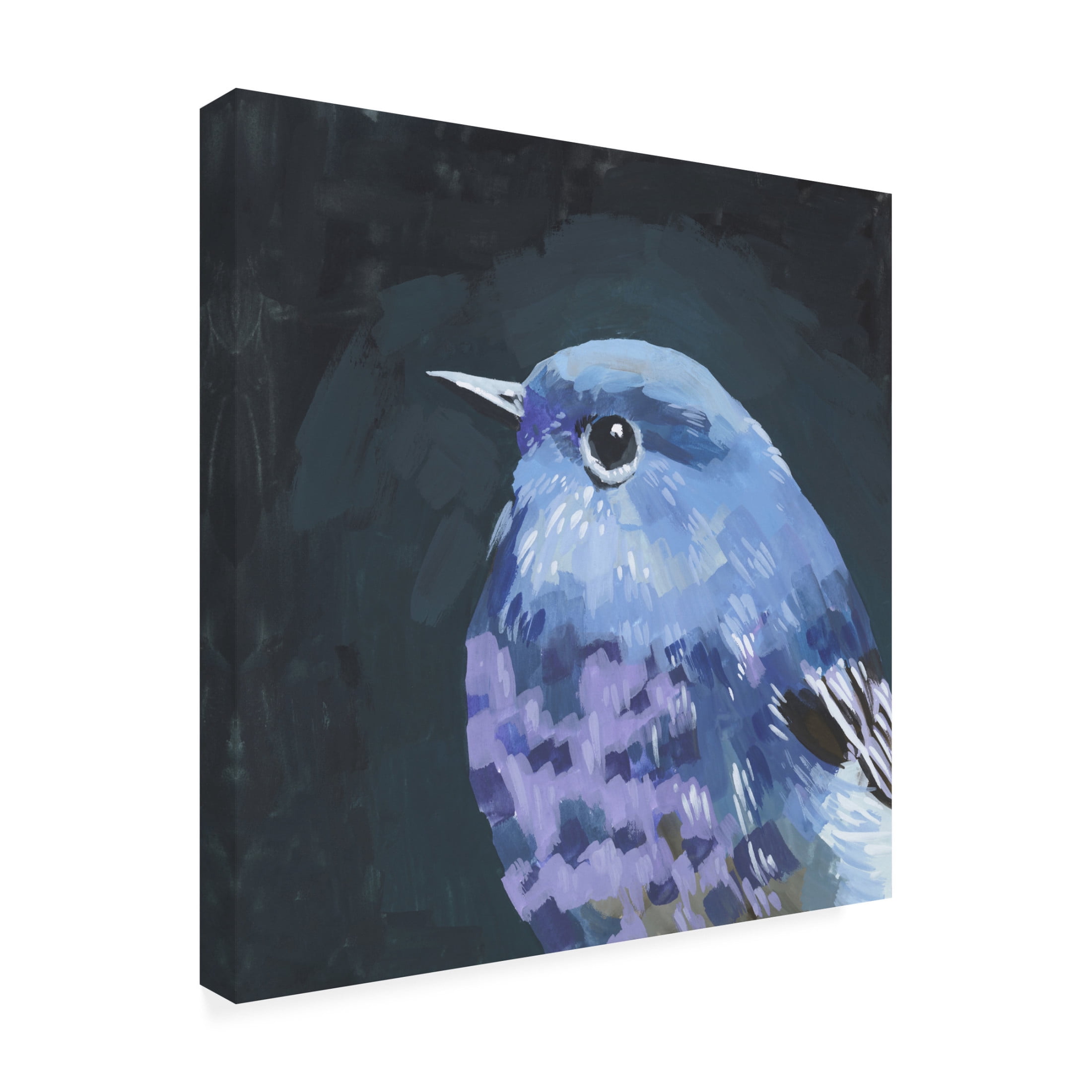 Canvas Wall Art - Melissa Wang 'Vivid Bird I' Wall Art for Living Room, Bedroom, or Office Décor by Trademark Fine Art - 35 x 35 Inches