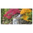 thumbnail image 2 of Japanese Maple Trees - Floral Photography Art, 2 of 3