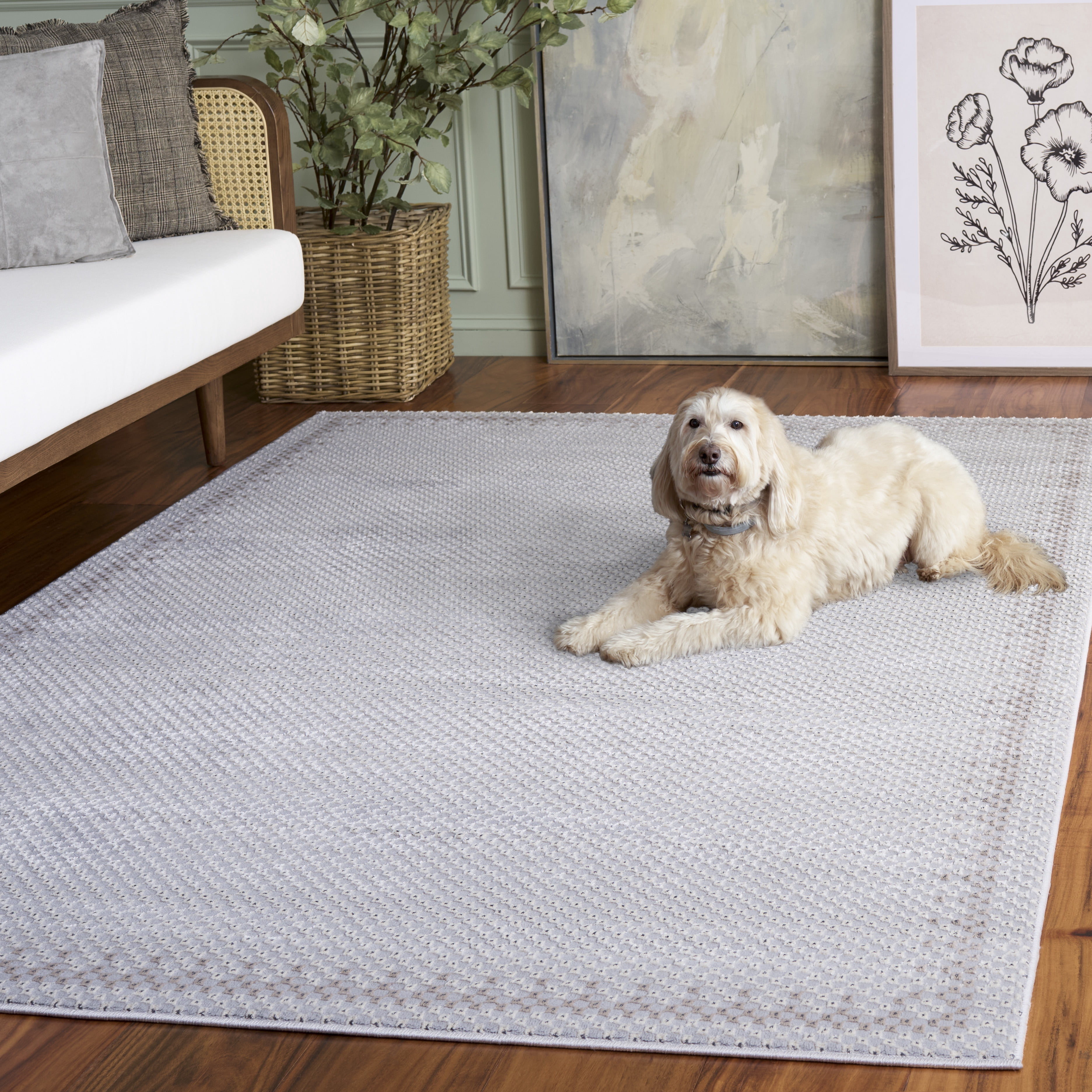 SAFAVIEH Continental Ermintrude Distressed Area Rug, Light Gray/Dark Gray, 4' x 6'