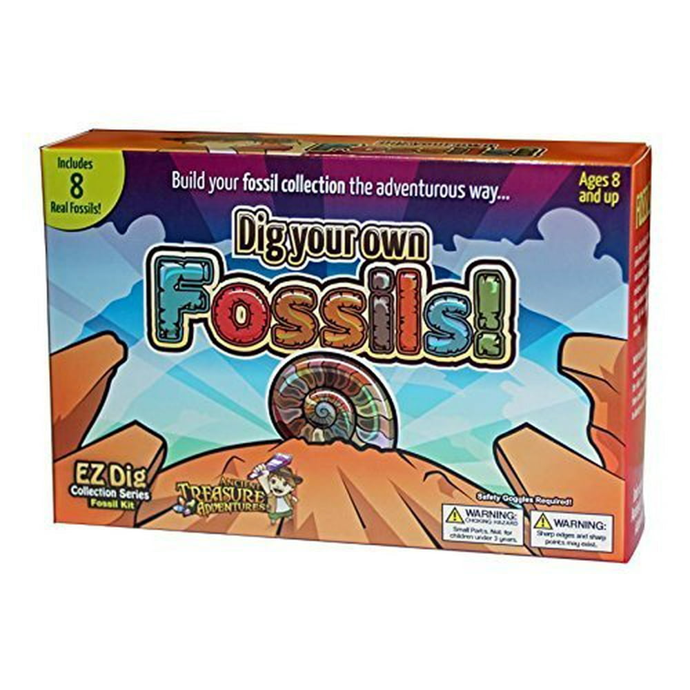 you can dig dinosaur fossils