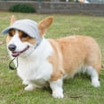 thumbnail image 5 of Gorra de béisbol para perros Symphonyw, azul, mediana, ajustable, 5 of 5