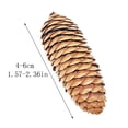 thumbnail image 3 of 10 PCS Large Spruce Pine Cones, Big Natural Pinecones for Christmas & Fall/Winter Decor, Vase/Bowl Filler, Wreath & Craft Ornaments,A, 3 of 6