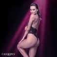 thumbnail image 2 of Radiance Glitter Rhinestone Deep V Bodysuit Lingerie, Open Back Mesh Bodystocking, 2 of 7