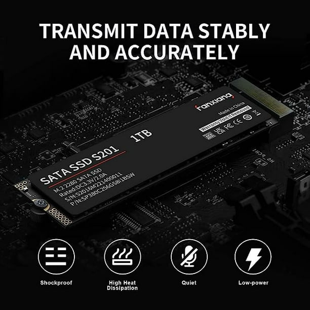 fanxiang S201 1TB M.2 SSD 2280 SATA III 6Gb/s Internal Solid State