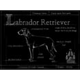 thumbnail image 2 of Ethan Harper 14x12 Black Ornate Wood Framed with Double Matting Museum Art Print Titled - Blueprint Labrador Retriever, 2 of 4