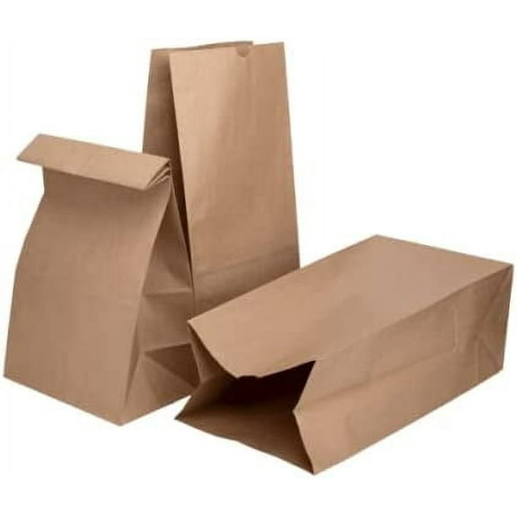 20lb Paper Lunch Bags - Kraft, 500 Count - Versatile Paper Lunch Bags for Food or Commodities - Sturdy, Self-Standing, Reusable