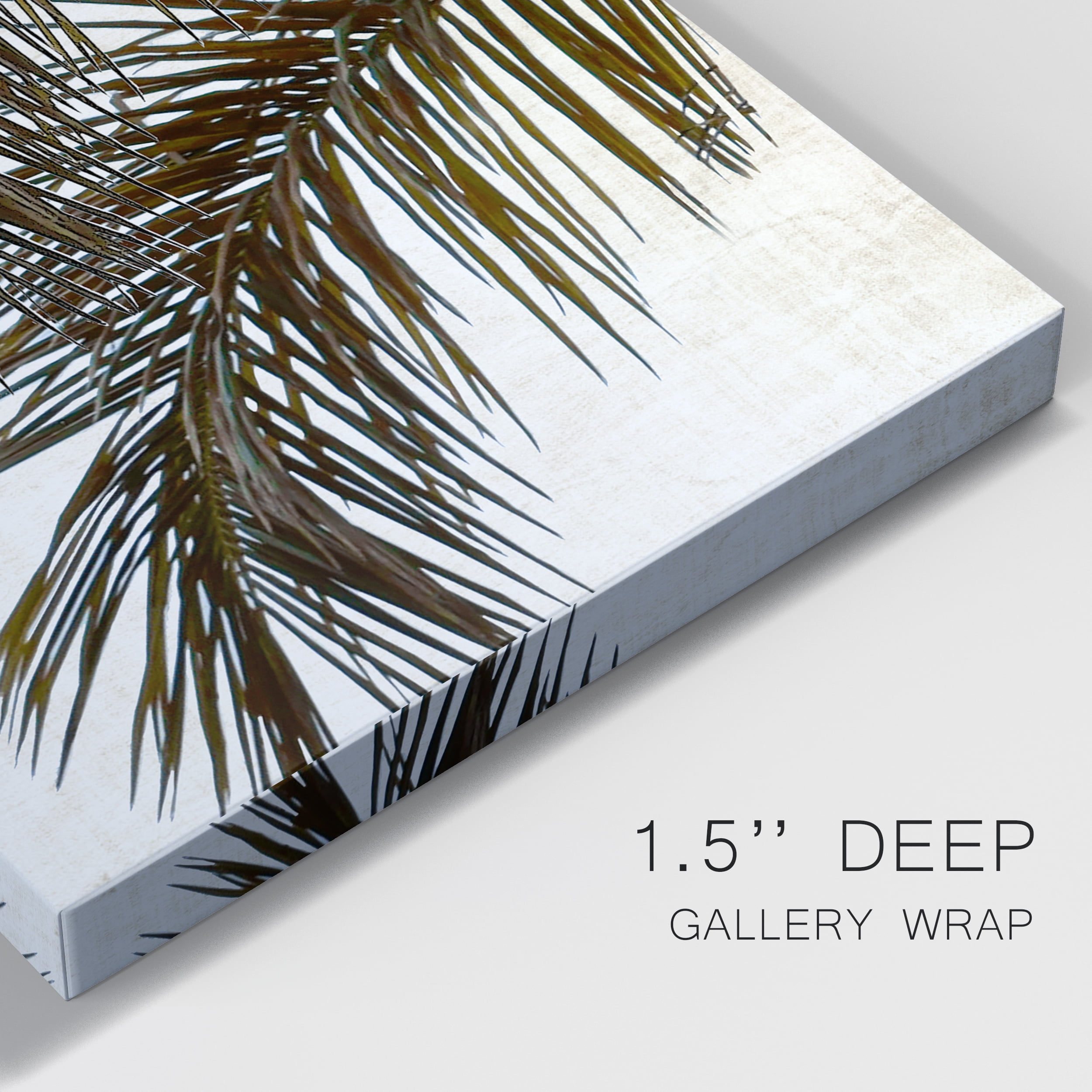 Palm II Premium Gallery Wrapped Canvas - Ready to Hang - 32 x 48