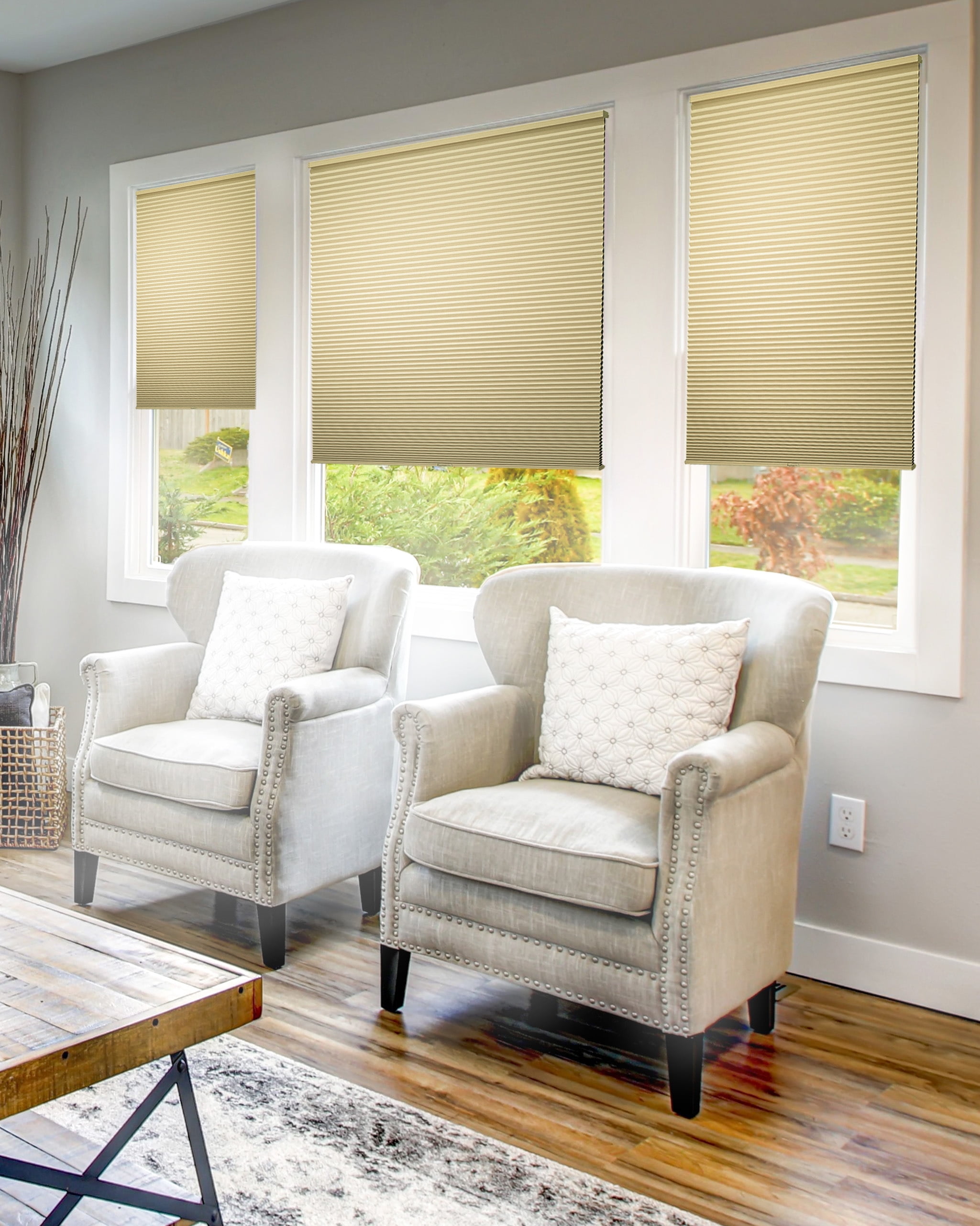 Chicology Cordless Cellular Shade Blackout, Ecru 55.75"W x 72"H