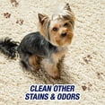 thumbnail image 2 of Resolve Pet Expert Carpet Spot & Stain Remover Spray, Pet Stain and Odor Remover, Carpet Cleaner, 22oz (Pack of 2), 2 of 5