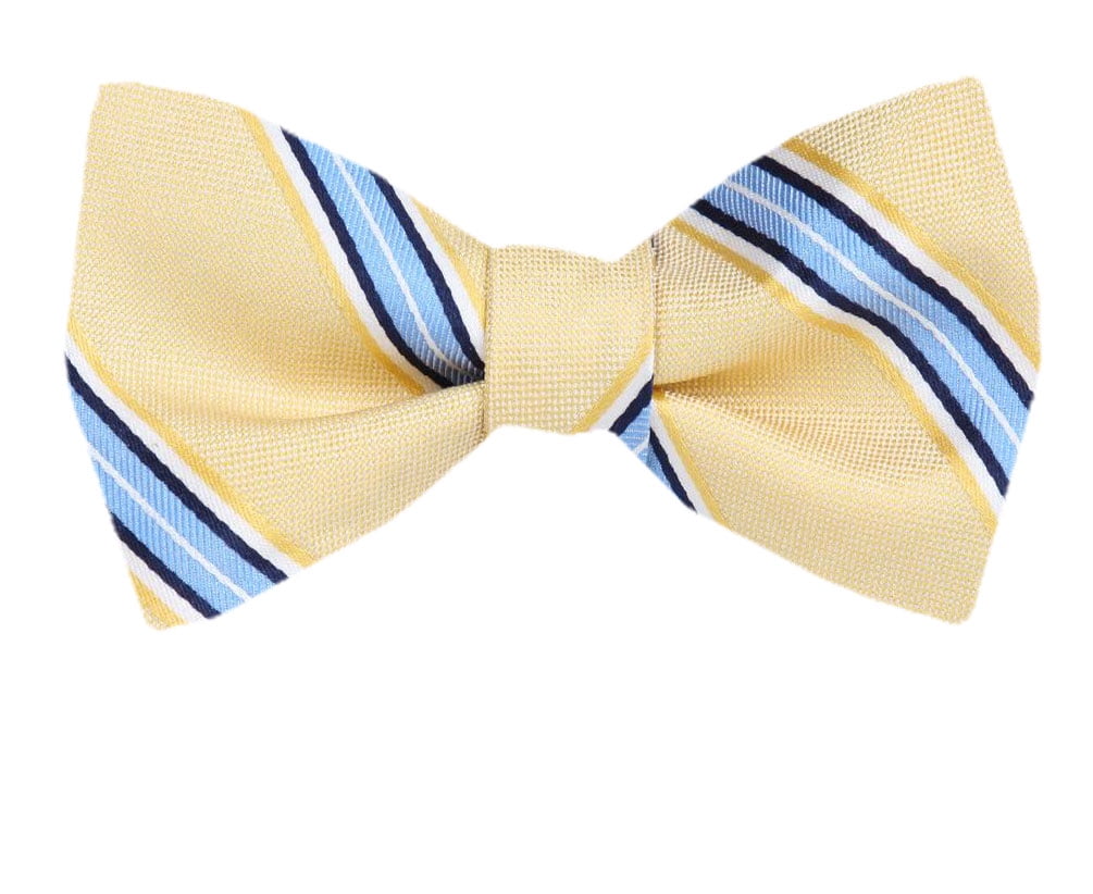 Men's Yellow and Gold Silk Stripes Self Tie Bowtie Tie Yourself Bow