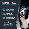 thumbnail image 3 of Blackwood Dry Dog Food for Sensitive Skin & Stomach, Catfish Meal with Ancient Grains, 24 lb, 3 of 8