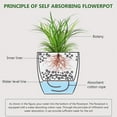 thumbnail image 2 of SHISUYAN White Self Watering Flower Pots with Conductive Rope for Display Plastic Plant Container 2 Pieces, 2 of 8