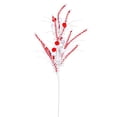 thumbnail image 1 of Vickerman QG205028 20 Po Rouge &amp; Canne Blanche Pom Spray - Boîte de 6, 1 of 1