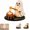 Ghost Candy Corn Roast, variant on Halloween Campfire Tealight Holder, Glow in the Dark Ghost Gathering Figurine, Cute Halloween Resin Statue Decor for Mantel Shelf, Vintage Patchwork Indoor Centerpiece Gift(Ghost Candy Corn Roast)