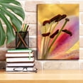 thumbnail image 3 of Epic Graffiti 'Lily Anthers' by Pamela Plummer, Canvas Wall Art, 12"x16", 3 of 8