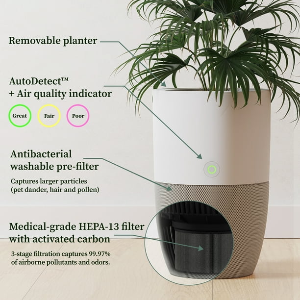 Purificateur d'air Dupray Bloom™  Filtration d'air HEPA-13 de qualité  médicale avec jardinière intégrée 