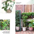 thumbnail image 3 of pitrice Garden Support Stake 40*25cm Metal Half Round Plant Cage 2Pcs, 3 of 9