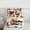Brown White, variant on jejeloiu Cartoon Puppy Dog Bedding Comforter Set,Kawaii Pet Lover Twin Comforter Sets,Brown White Bedding Set For Girl Boy,Ultra Soft Home Decor Reversible,2 Pieces