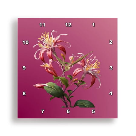 3dRose, Honeysuckle Vine Artistic And Stylized on Pink Gradient Background, 15x15 Wall Clock