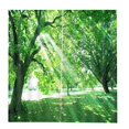 thumbnail image 4 of GUOOL 2Pc Landscape Window Curtains Darkening Bath Voile for Standard Rod 9 9, 4 of 8