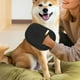 thumbnail image 4 of Guante quitapelos para mascotas Guantes electrostáticos quitapelos para mascotas Reutilizables Quitapelos para gatos y perros para sofás, muebles, alfombras y asientos de coche (1 unidad), 4 of 5