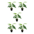 thumbnail image 3 of Planta en maceta de tortuga tropical Cateissary hojas artificiales realistas JH5471, 3 of 6