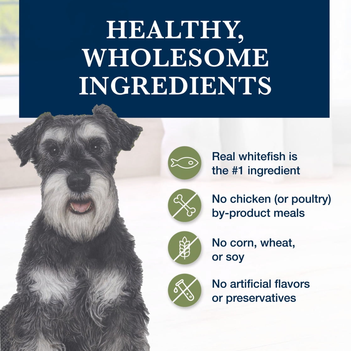 Blue Buffalo Natural Veterinary Diet GI Low Fat Gastrointestinal Support Dry Dog Food, Veterinarian's Prescription Required, Whitefish, 22 lb Bag