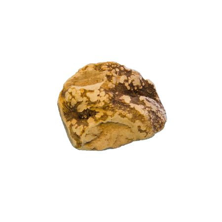 Himalayan Dog Chew Ruff Roots, Seedling, Small
