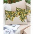 thumbnail image 6 of Summer Lemon Throw Pillow Covers, Green Botancial Summer Yellow Fruits Rustic Soft Breathable Pillow Cases with Invisible Zipper for Sleeping, Body Pillowcases for Couch Bed Sofa Chair 24x36 Inches, 6 of 6