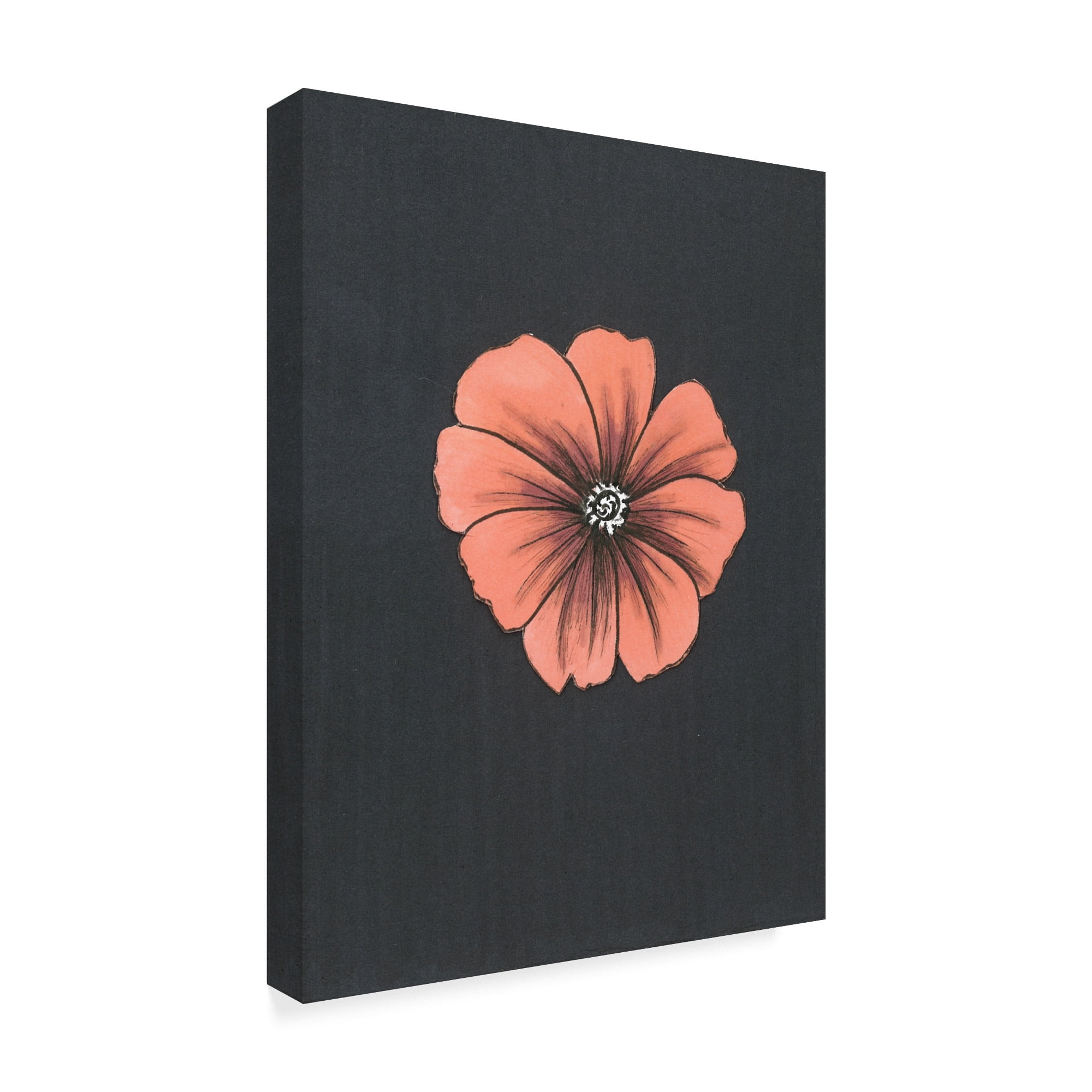 Trademark Fine Art 'Peach Flower On Gray' Canvas Art by Nicky Kumar