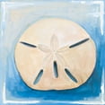 thumbnail image 3 of Diannart 15x15 Black Modern Framed Museum Art Print Titled - Sand Dollar on Blue, 3 of 5