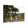 thumbnail image 1 of Canvas Print: Cemetery In A Cow Pasture In Rural Monroe County, Alabama, 2010, 1 of 3