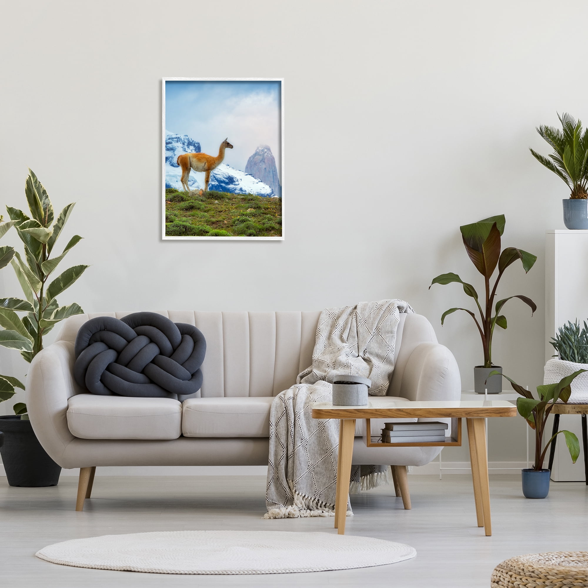 Stupell Industries Wild Llama Photography Animals & Insects Photography White Framed Art Print Wall Art, 24 x 30