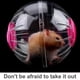 thumbnail image 4 of Methold Pelota de ejercicio, juguetes de animales, juguetes rodantes, accesorios para correr perforados de plástico Juguetes de animales pequeños rosado, 4 of 6