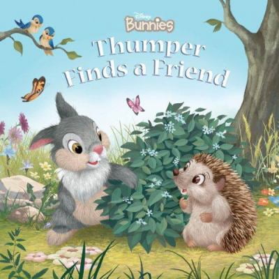 Pre-Owned Disney Bunnies Thumper Finds a Friend (Hardcover) 1423104374 9781423104377