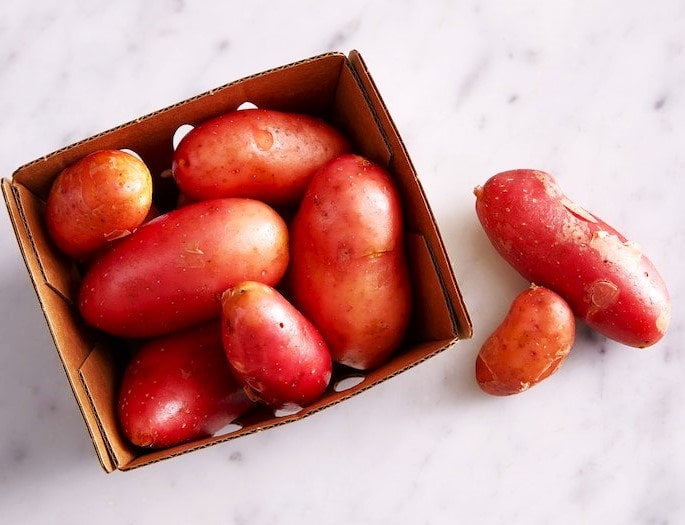 TomorrowSeeds - Red French Fingerling Seed Potatoes - USDA Certified for Growers Red Gold New Potato Bulb For Planting Vegetable Seeds 2025 - 15 Pounds