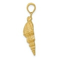thumbnail image 2 of 14K Yellow Gold Charm Pendant Men'S 30 mm 11 Conch Shell, 2 of 4