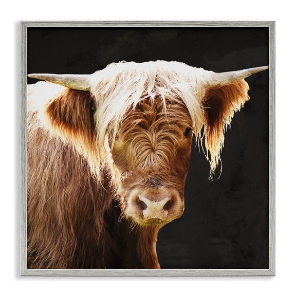 Stupell Industries Rustic Lodge Brown Wooly Cattle Gray Framed Giclee Art, 17 x 17, by Emily Navas