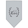 thumbnail image 1 of Il Est Élevé Sérigraphie Bandana Gris Petit, 1 of 1