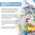 thumbnail image 2 of BEE & YOU Antibacterial Propolis Nasal Spray, 1 Fl oz, Moisturize, Congestion Relief, Drug-Free, 2 of 9