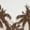 White, variant on Vintage Car Palm Tree Sunset Art Men's Hoodie