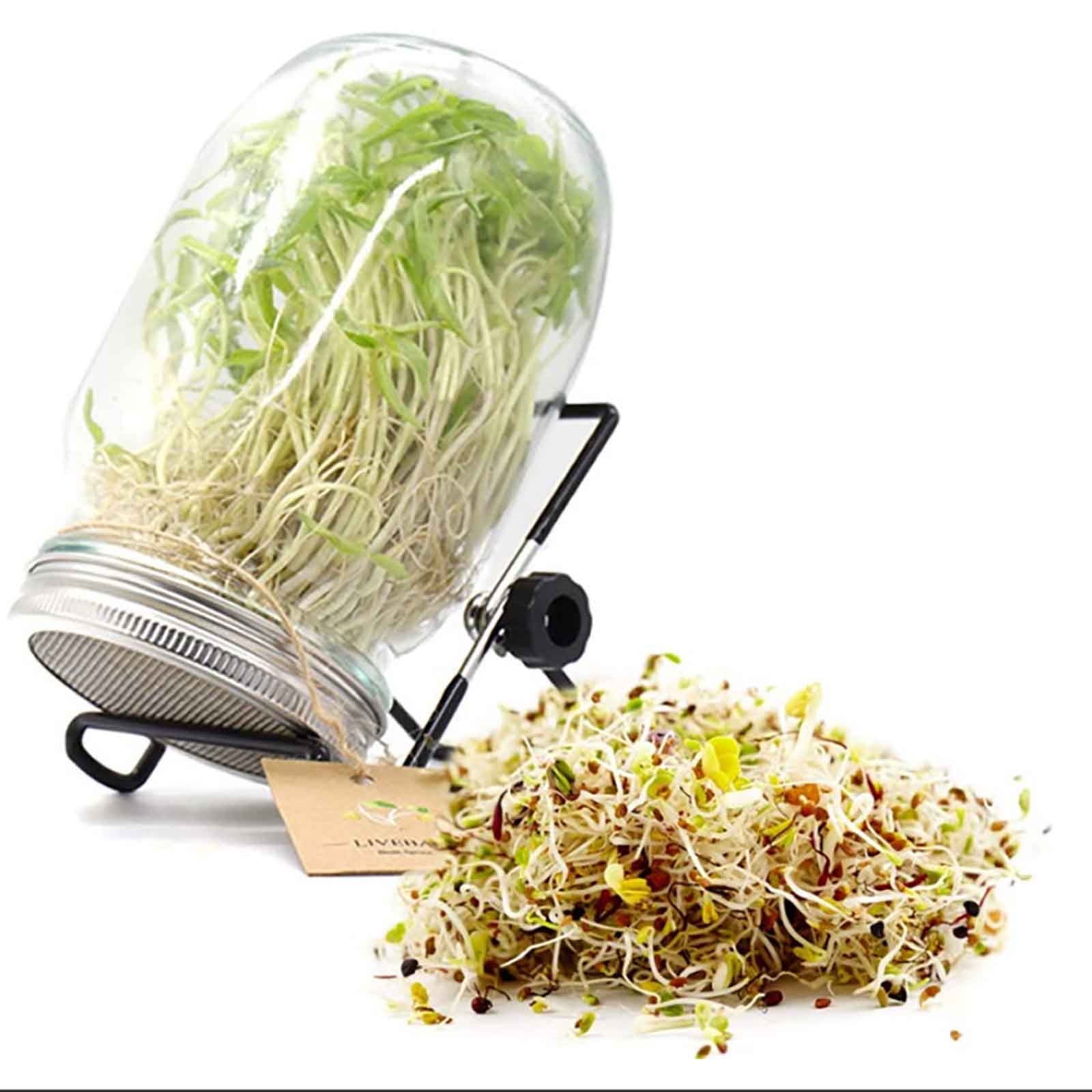 syligr Complete Sprouting Kit with 2 Glass Jars Stainless Steel Lids, Wide Mouth Seed Sprouter for Broccoli Alfalfa Beans, Food Grade Germination Tray Stand, Easy Home Sprout Grower for Beginners