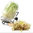 thumbnail image 3 of Sprouting Jar Kit - 2 Large Wide Mouth Mason Jars with 316 Stainless Steel Screen Sprout Lids, Blackout Sleeves, Tray, Stand | Seed Sprouter Set for Growing Broccoli, Alfalfa, Mung Bean (Black Cover), 3 of 7