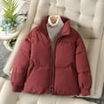 thumbnail image 4 of Chaqueta de algodón corta y gruesa para mujer, chaqueta de algodón holgada pequeña e informal para invierno, 4 of 6