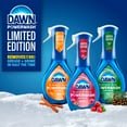 thumbnail image 7 of Dawn Platinum Plus Powerwash Dish Spray Bottle Set – Seasonal Variety Pack (1 Spray Bottle + 2 Refills, 48 fl oz)-  With Paper Towel By OMA, 7 of 7