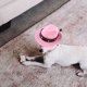 thumbnail image 5 of Sombrero de fiesta de cumpleaños Sombrero para el sol Mini sombrero para mascotas Sombrero de vaquero occidental para mascotas Sombrero para el sol para mascotas al aire libre Sombrero decorati..., 5 of 7