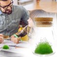 thumbnail image 2 of Planting DIY Constellation Crystal Wishing Bottle Growing Crystal, Children's Birthday Gift, 2 of 3