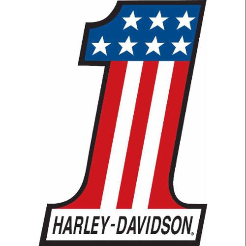 Harley Davidson 74 Big Twin Tin Embossed Sign 17 x 12.5/" Motorcycle 2010011